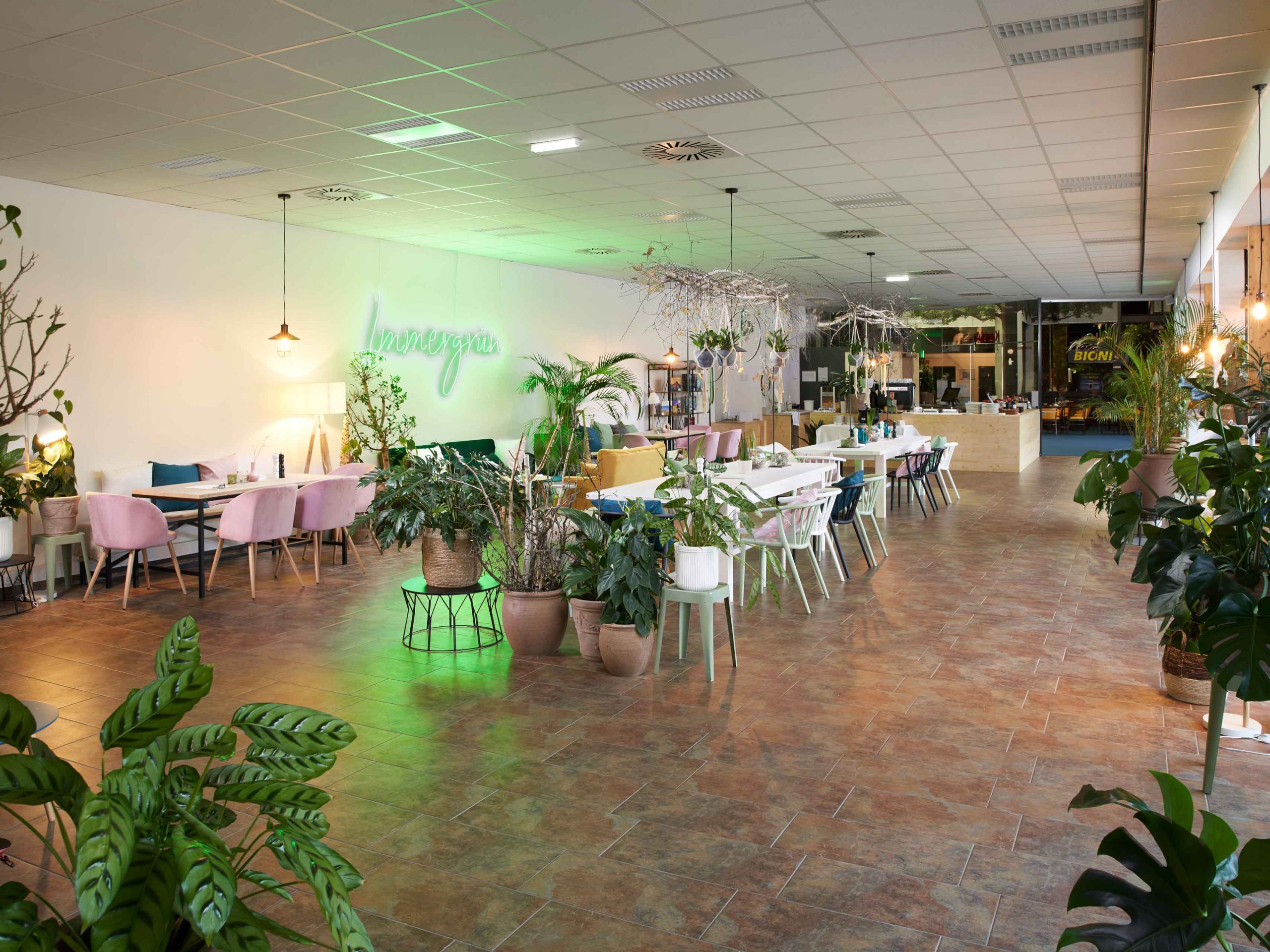 Kaffee & Bistro Immergrün - Oekopark Hartberg